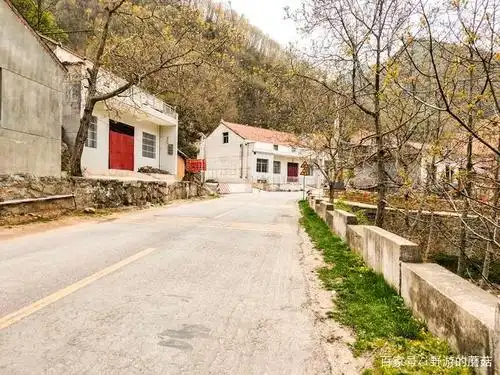 看牛羊成群的高山草甸 蓝田流峪寺穿越