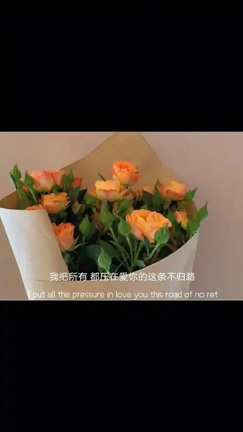 抖音最火的立春句子文案★正能量发抖音的搞笑文案 - 华网天下