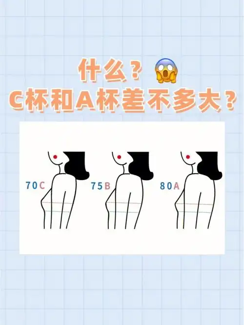 你敢相信吗c杯跟a杯看起来差不多一样大