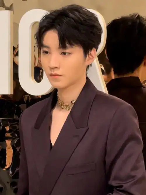 迪奥红毯##迪丽热巴朦胧纱裙##王俊凯邓为于适生图