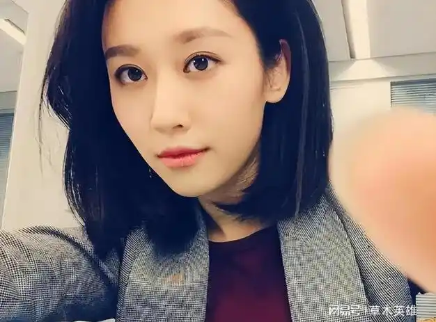 记者|女主播|综艺节目|大陆综艺|央视主持人_网易订阅