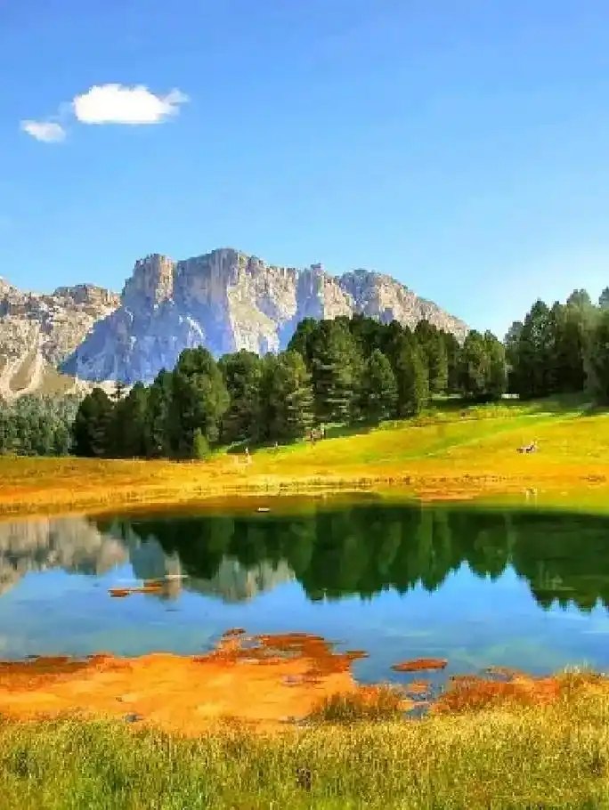 感受一下大自然秋日好风景:最美的风景,如同人的生命,没有永久 - 抖音