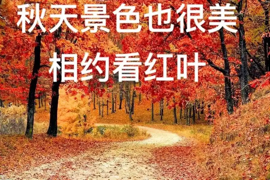 上热门97 #去欣赏秋天的颜色吧 #感受大自然的气息和美景 - 抖音