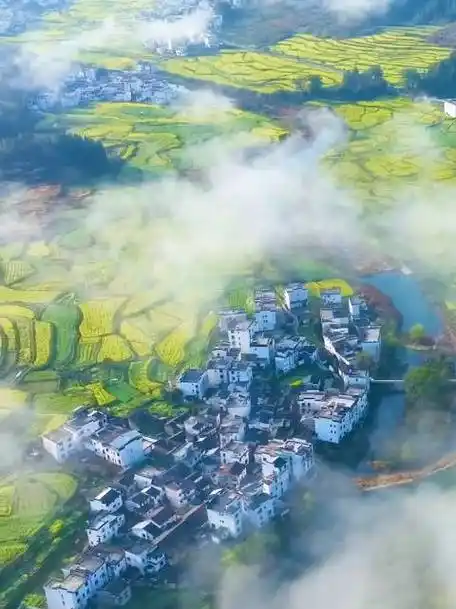 人间最美三月天 来江西婺源看油菜花海吧 (cr.🎶中国最美乡村—婺源