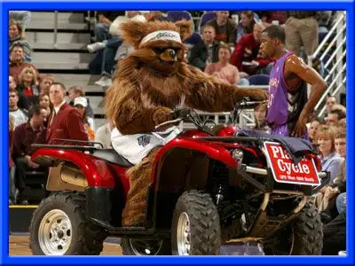 nba吉祥物大搜罗:爵士队吉祥物——爵士熊熊