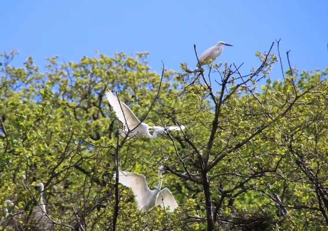 铁岭溶洞白鹭洲一日游 周末带孩子出游,沈阳至铁岭溶洞大概2小时车程