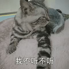 猫星人我不听我不听你走开搞怪呆萌gif动图_动态图_表情包下载_soogif