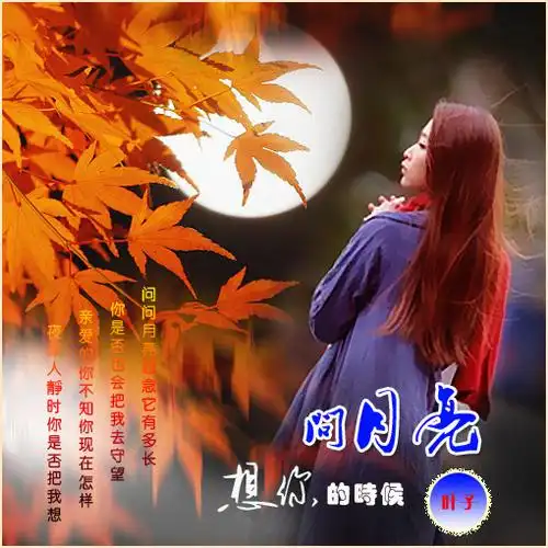 想你的时候问月亮