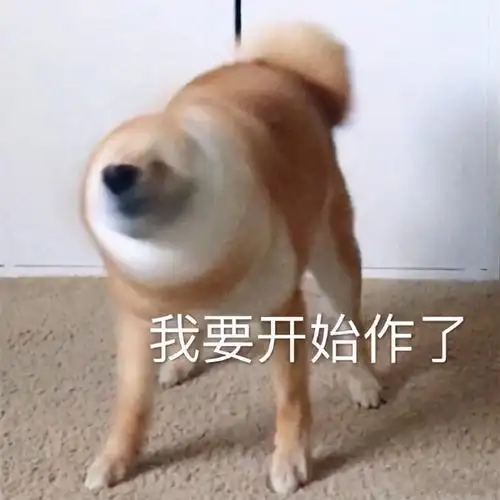 又开始了搞笑表情包聊天图片表情