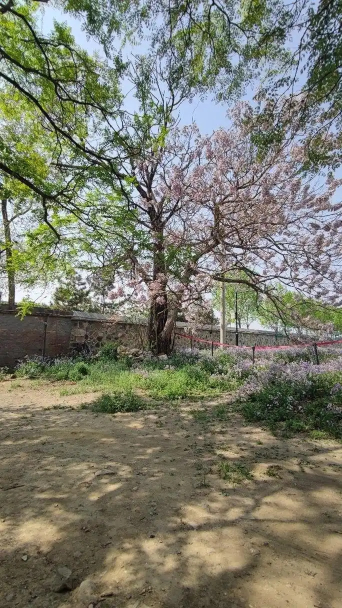 紫碧山房,藏在圆明园遗址公园内的宝藏景点,等你来探秘78 99地点