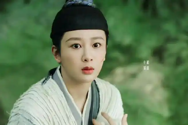 杨紫新剧又捡人回家了