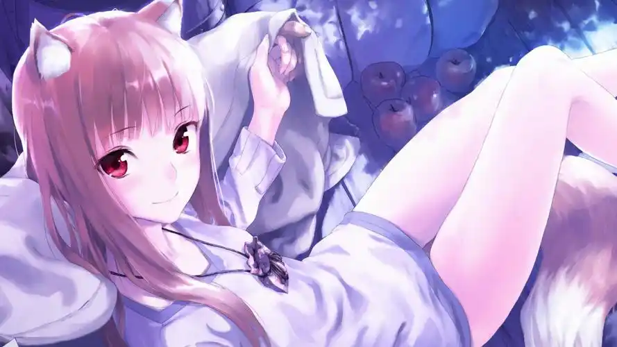 六角女孩与香料狼,精选动漫壁纸,免费电脑桌面背景下载