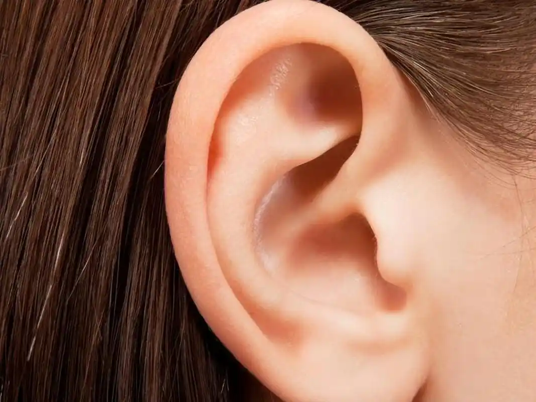 "耳廓再造术"作为热门的耳部整形项目之一,其效果如何?