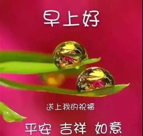 非常漂亮早安问候语图片唯美带字,最新版早安短信问候祝福语大全