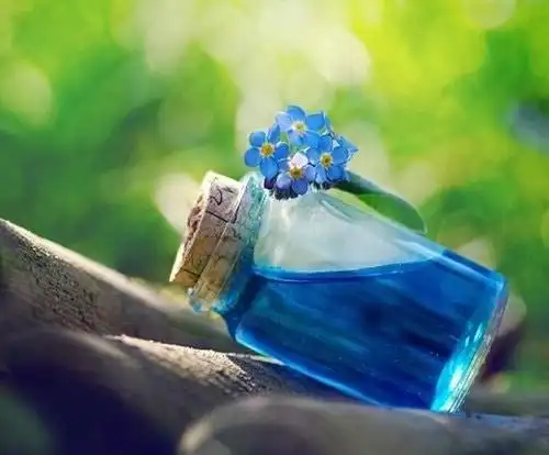 我眼中的美好时光_唯美图片