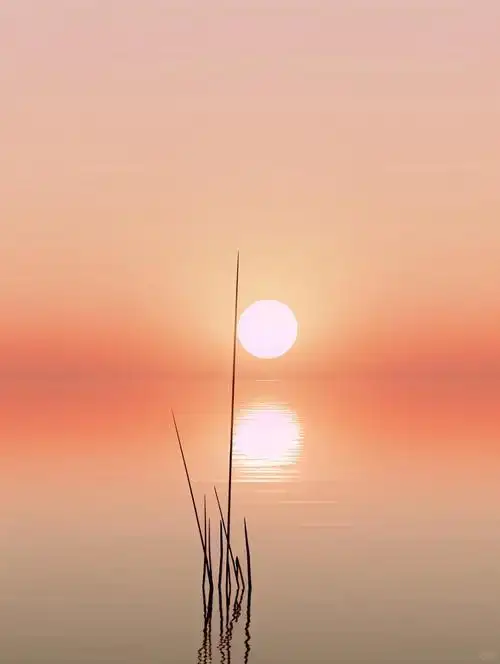 疏疏一帘雨,淡淡满枝花.36句意境绝美诗词,惬意溢满你的心间