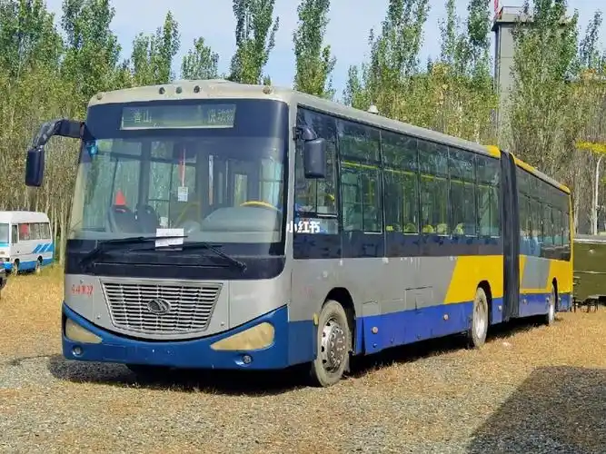 不定期一图京华大财神