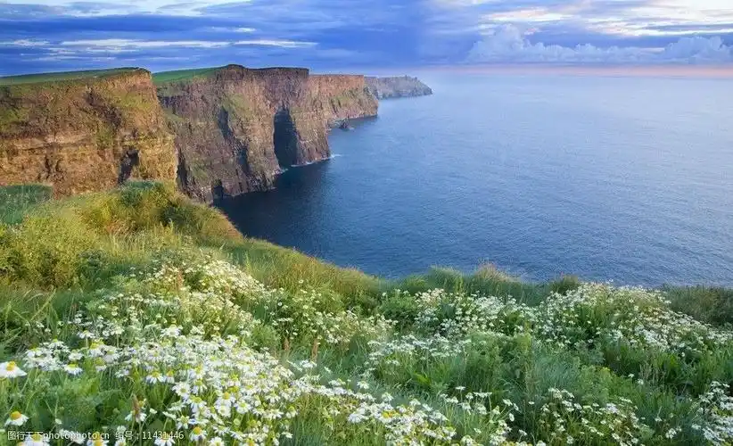 关键词:花儿与海 风景 海边 美景 大海 自然景观 自然风景 摄影 96dpi