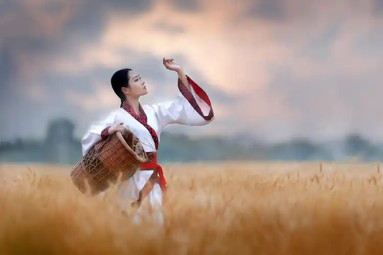 麦田唯美气质古装美女桌面壁纸