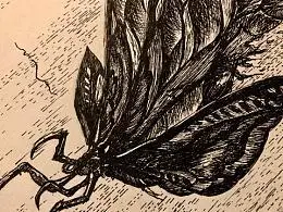 魔斯拉简笔画步骤