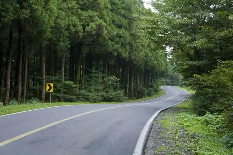 无人,横图,室外,白天,正面,旅游,度假,草地,草坪,美景,树林,植物,道路