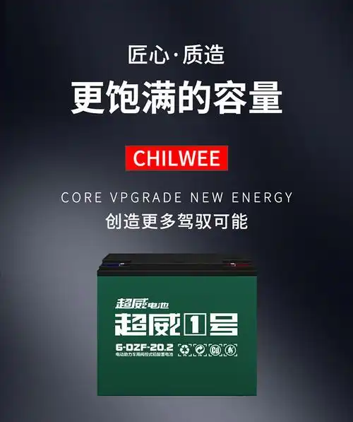 超威电瓶黑金电动电瓶车电池48v12ah60v22ah原厂全新7220超威一号
