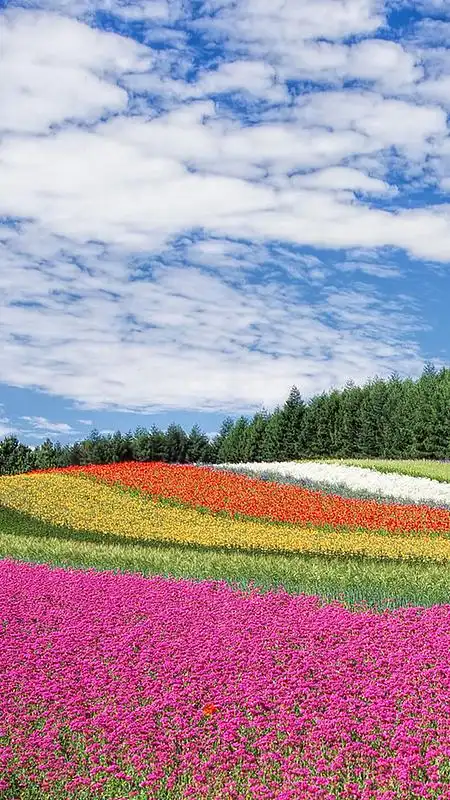 手机蓝光背景素材_手机蓝光背景图片下载_觅元素