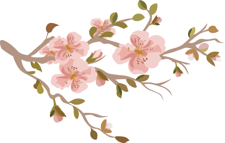 卡通粉色桃花【高清装饰元素png素材】-90设计