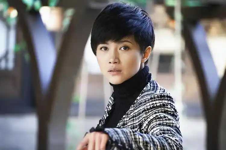 小知识演员颜丙燕的个人资料影后颜丙燕演过的所有电视剧