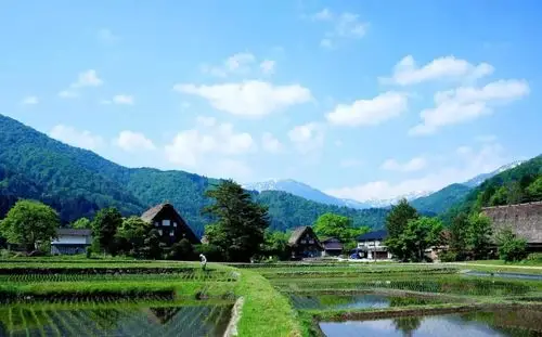 日本乡村美得让人流连忘返,我们的乡村如何做到?