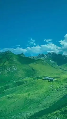 绿色壁纸|保护一下眼睛吧