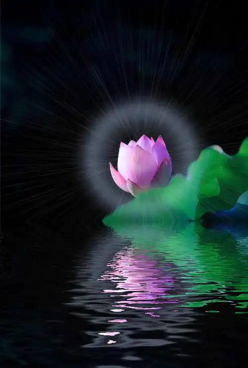 如何断除诗言慧语之入菩萨行