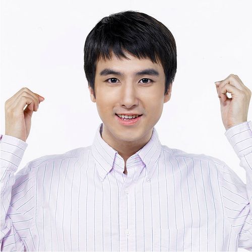 尚美莱 假发男短发真发男士帅气发型真人发丝寸头平头青中年全头套