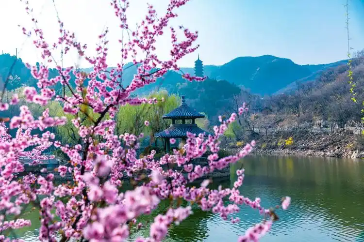 济南红叶谷的春天竟然也是如此的美山水相映半坡红