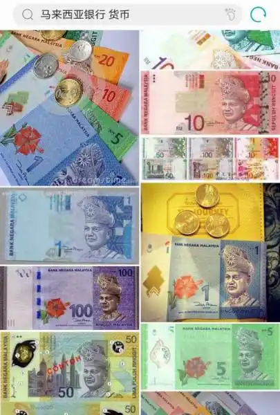 展开全部 bank negara malaysia 马来西亚银行