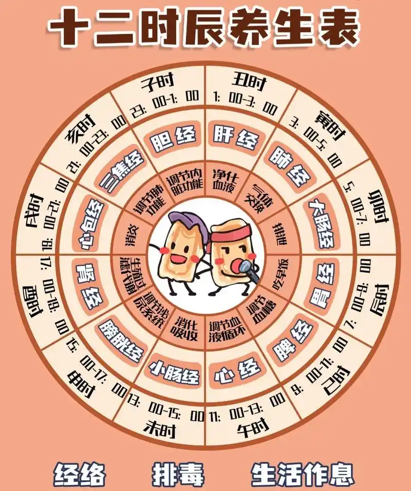 黄帝内经十二时辰养生法.《黄帝内经》有曰:"上古之人,其知道 - 抖音