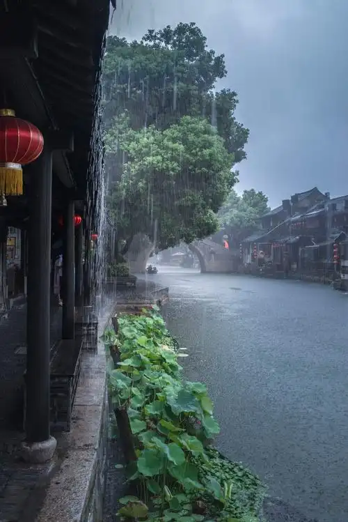 远山明 的想法: 烟雨江南水乡,美丽西塘古镇