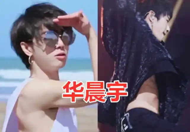 郭麒麟的腹肌,华晨宇的腹肌,易烊千玺的腹肌,看到张新成:想游泳