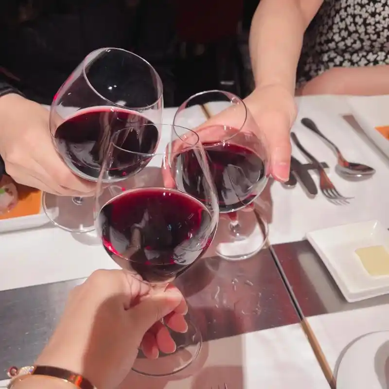 半日少女9399闺蜜干杯00.