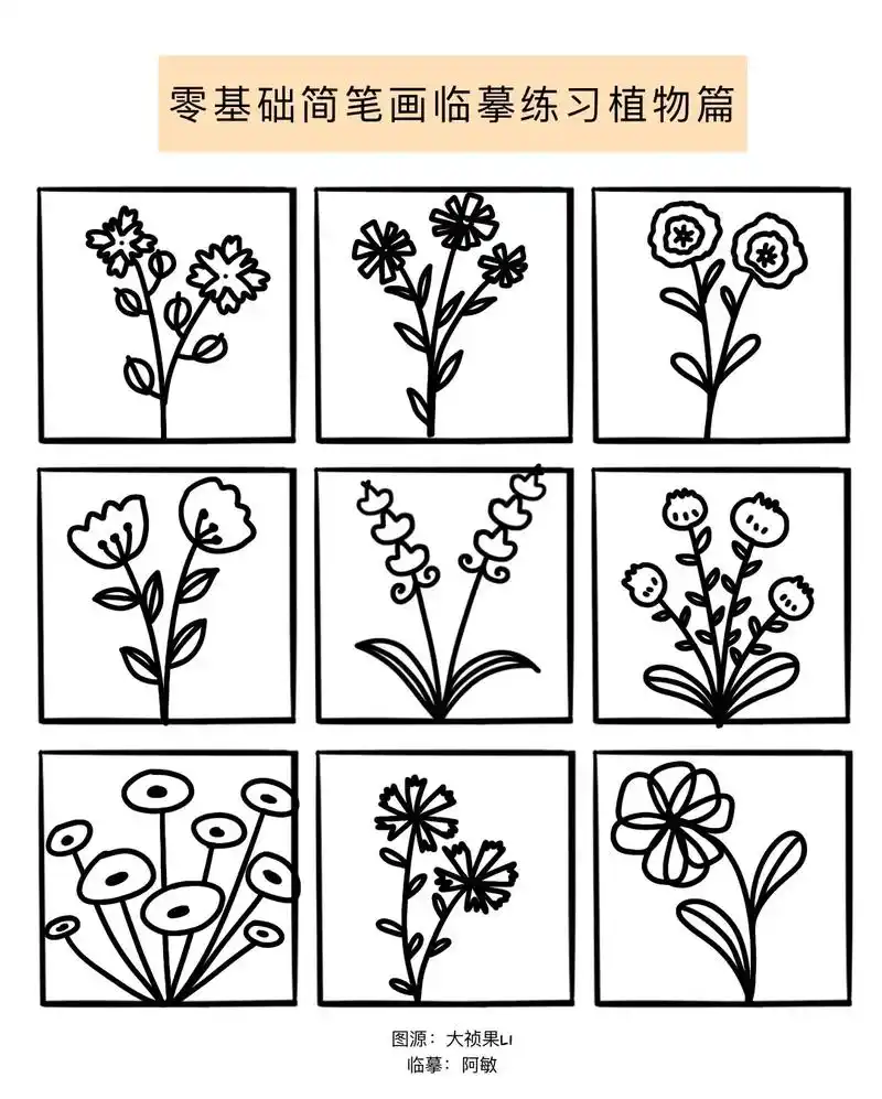 新手小白必备简笔画临摹素材植物合集91 #零基础学画画 #i - 抖音