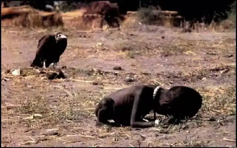 苏丹,一个孩子因饥饿和疾病奄奄一息,一只秃鹫已经把他看成口中的