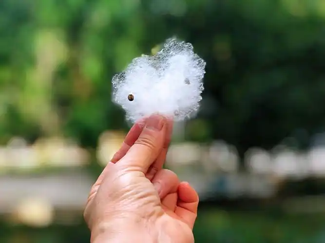 其它 四月花城"雪"满天 写美篇古书记载,古时木棉花絮飞舞的时节,南越