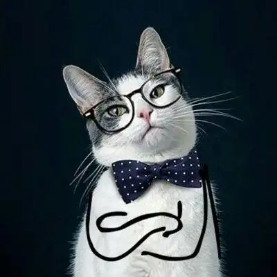 动物 猫咪 可爱 情侣 头像 侵权删