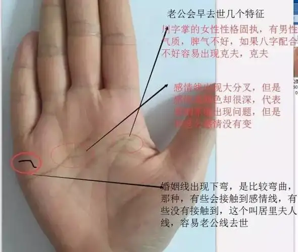 如何从手相看你的婚姻状况,如何看男人的手相