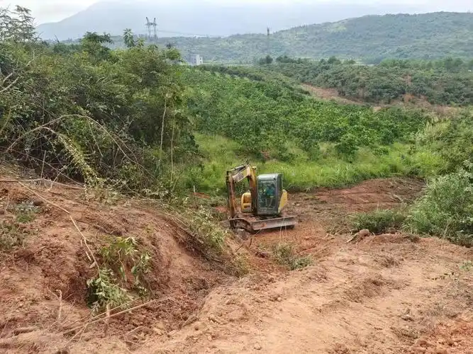 道县四马桥镇全力打造防火隔离带 筑牢森林防火安全屏障