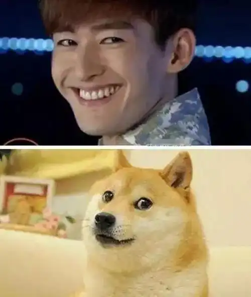 张翰张杰陈思诚:越是一本正经越是不可思议?油腻男星该如何接地气!