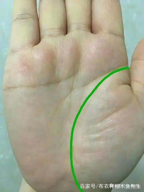 此外,金星丘发达的人善于外交,锲而不舍,也适合推销行业.