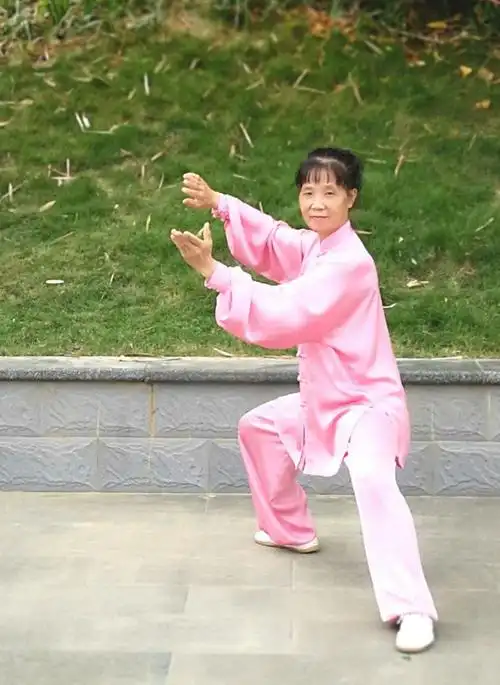 参加陈式56式太极拳特训学习班记录