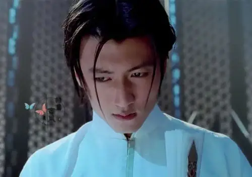 谢霆锋《无极》【无欢】外表俊美,完美的一尘不染的白袍,拥有天下最好