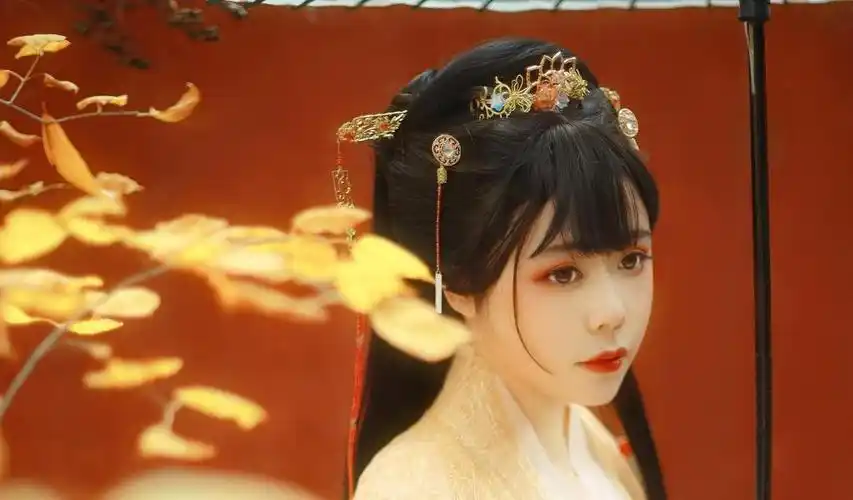 抖音上比较火的古装女子照片电脑桌面壁纸